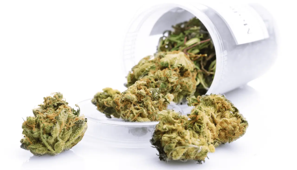 THC Blüten kaufen legal: Was Sie wissen müssen